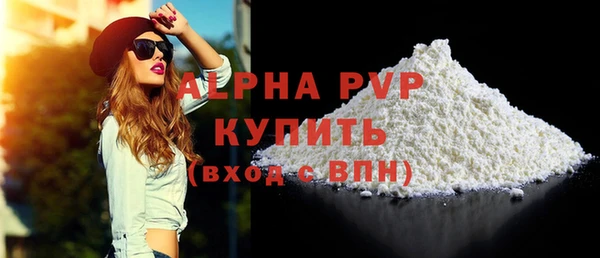 гидра Каменка