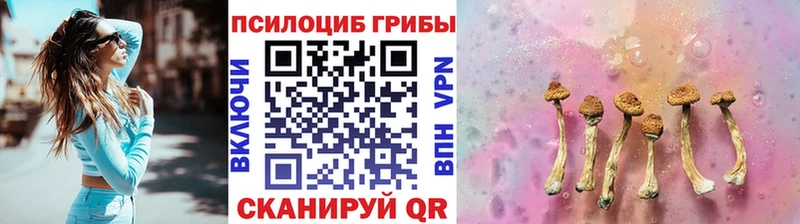 как найти закладки  Камышлов  Псилоцибиновые грибы Magic Shrooms 