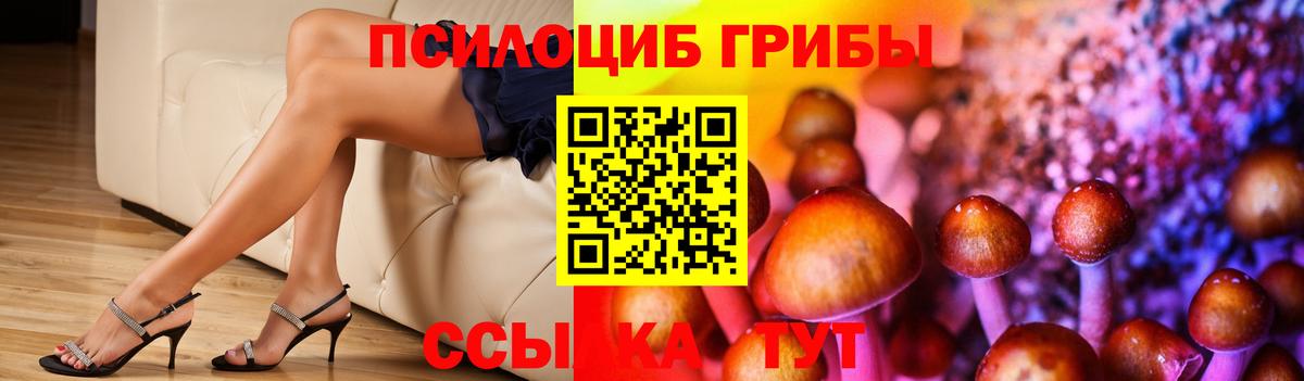 Галлюциногенные грибы Magic Shrooms Камышлов